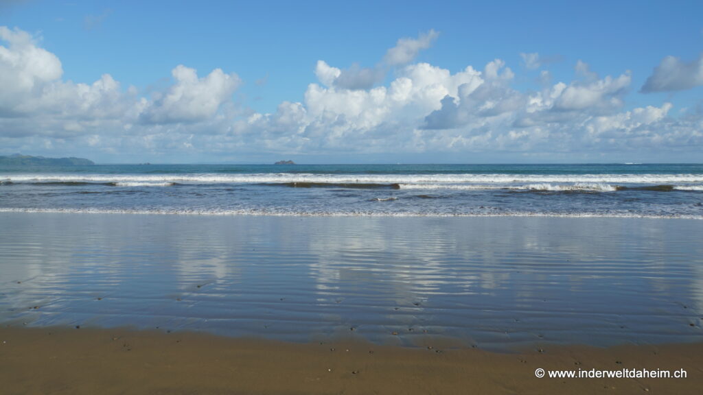 Nordwärts entlang der Pazifikküste… – in der Welt daheim