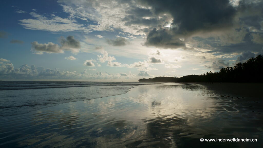 Nordwärts entlang der Pazifikküste… – in der Welt daheim