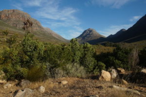 Malerische Cederberge