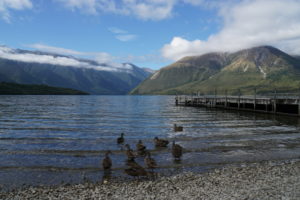 Alpenpanorama der Nelson Lakes