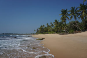 Palmenbuchten der Südküste