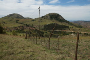 Königliches Swaziland