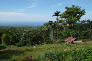 Am Fusse des Rinjani