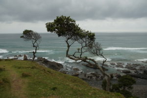 Der Wild Coast entgegen