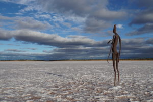 Kunstvoller Lake Ballard