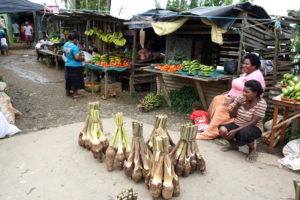 Viti Levu – Bula Fidschi