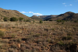 Faszinierende karge Karoo