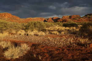 Stimmungsvolles Palm Valley