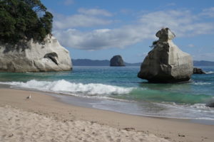 Coromandel – Kurven ohne Ende