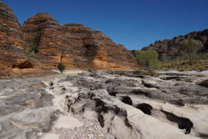 Bungle Bungle im Ringelsocken-Look