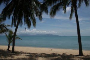 Koh Samui – unter Kokospalmen