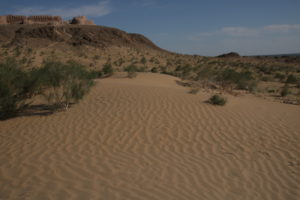 In der Wüste Kyzylkum