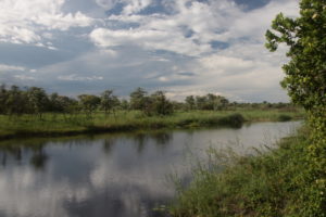 Caprivi – tropisch feuchter Streifen