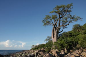 Paradiesische Likoma Island