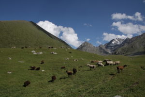 Altyn Arashan – über saftige Alpweiden